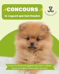 Concours Gagnez une carte-cadeau Pattes et Griffes de 100$!