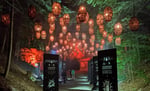 Concours Gagnez une nuitée pour 2 personnes au Studio Lumina avec 2 entrées pour Foresta Lumina