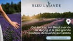 Concours Rythme FM 105,7 Gagnez une carte-cadeau d'une valeur de 150$ chez Bleu Lavande de Magog!