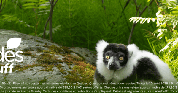 Concours Gagnez l'un des cinq lots de quatre billets pour une journée mémorable au Zoo de Granby!
