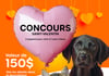 Concours St-Valentin Chico Charlesbourg - Boutique d'animaux - Gagnez un prix pour votre chat ou votre chien!