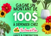 Concours Construction RGP Brouillard & Les Serres de l'Éden - Gagnez 100$ en plantes!