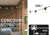 Concours GAGNER une carte-cadeau de 200 $ du Centre du Peintre + une guirlande DALS lumineuse Orion 48′ d’une valeur de plus de 250 $