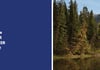 Concours Gagnez des vacances au Rocky Mountaineer, vols inclus, pour deux personnes