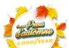 Concours Gagnez l'un des trois ensembles de pneus Goodyear!
