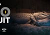 Concours Gagnez une expérience nocturne mémorable au Zoo de Granby!