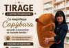 Concours Gagnez une peluche Capybara!