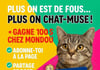 Concours Patrichats - Gagnez une carte cadeau MONDOU de 100$ !