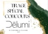 Concours Spécial Dēlumi studio!