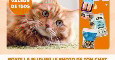 Concours Chico x Acana
