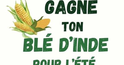 Concours Ferme Michel Lauzon - Gagne ton blé d'inde pour l'été!