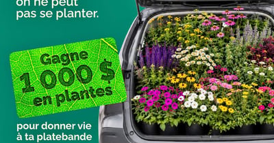 Concours Gagnez 1000$ en plantes Lemay!