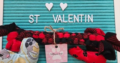 Concours Gagnez 2 jouets à chat + un moyen Tug !