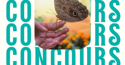 Concours Gagnez 2 passes familiales pour 2 adultes et 2 enfants au Bfly!