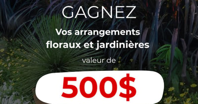 Concours Gagnez 500$ en arrangements floraux et jardinières!