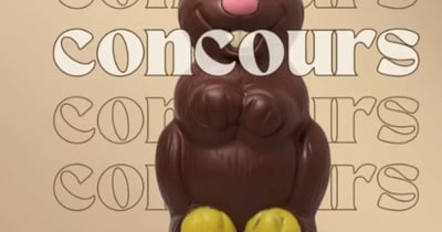 Concours Gagnez Alex le lapin géant de Chocolats favoris d'une valeur de 140$!