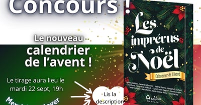 Concours Gagnez le calendrier de l'avent Les imprévus de Noël!