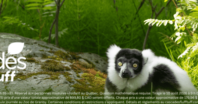 Concours Gagnez l'un des cinq lots de quatre billets pour une journée mémorable au Zoo de Granby!