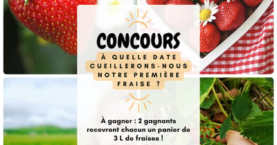 Concours Gagnez l'un des deux paniers de 3L de fraises fraîches!