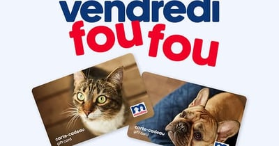Concours Gagnez l'une des deux cartes-cadeaux Mondou de 500$!