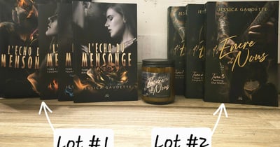 Concours Gagnez l'une des deux trilogies de livres de Jessica Gaudette-Auteure!