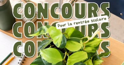 Concours Gagnez pour une classe des Philodendron Brazil 2 po. pour verdir la classe et une activité de bouturage!