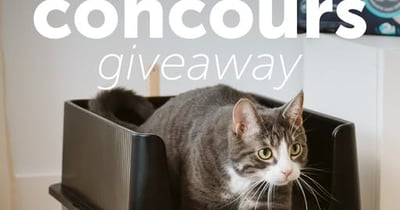 Concours Gagnez un bac à litière en acier inoxydable!