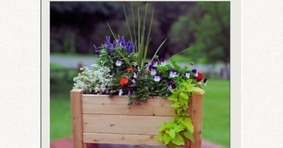 Concours Gagnez un bac en cèdre 14x19 Déco-Cèdres!