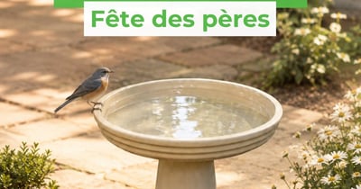 Concours Gagnez un bain d'oiseau!