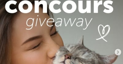 Concours Gagnez un bol interactif pour votre animal!