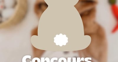 Concours Gagnez un cadeau Licorne et Ribambelle!