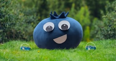 Concours Gagnez un certificat-cadeau d'une valeur de 50$ dans une bleuetière membre de Bleuets d'ici, près de chez vous!