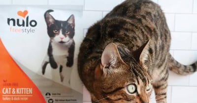 Concours Gagnez un certificat  cadeau Nulo de 250$!