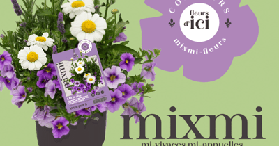 Concours Gagnez un ensemble de fleurs vivaces et annuelles! Concours Gagnez un ensemble de fleurs vivaces et annuelles!