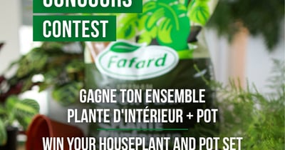 Concours Gagnez un ensemble de plantes d’intérieur d’une valeur de 100$!