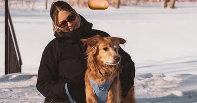 Concours Gagnez  un ensemble Tella & Stella (collier, laisse et harnais) pour votre chien ou votre chat!