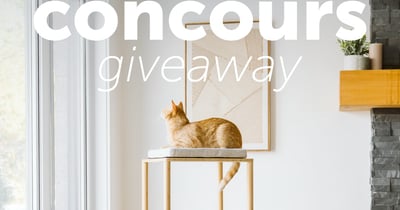 Concours Gagnez un espace modulable et évolutif pour votre chat!