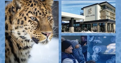 Concours Gagnez un forfait zoo et Hôtel Castel pour deux adultes et deux enfants!