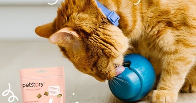 Concours Gagnez un jouet interactif pour chat et un sac de gâteries!