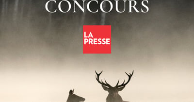 Concours Gagnez un laissez-passer double pour le Chant des forêt et un exemplaire du livre!