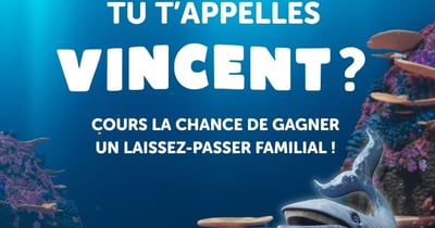 Concours Gagnez un laissez-passer familial pour le film Vincent et la prophétie des mers!