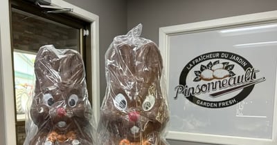 Concours Gagnez un lapin en chocolat et un sac de 50 lbs de pommes de terre!