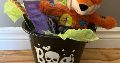 Concours Gagnez un panier cadeau rempli de jouets et gâteries pour chiens!