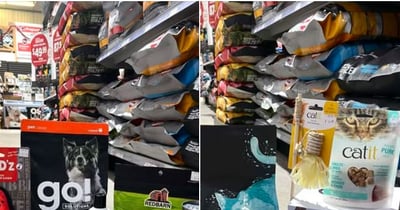 Concours Gagnez un prix pour votre chien ou votre chat offert par Paddock Animal & Co