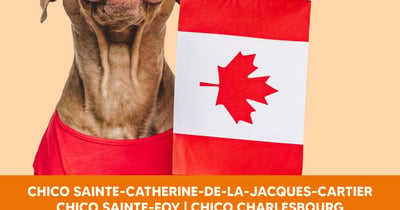 Concours Gagnez un sac cadeau pour chat ou chien rempli de produits Canadiens!