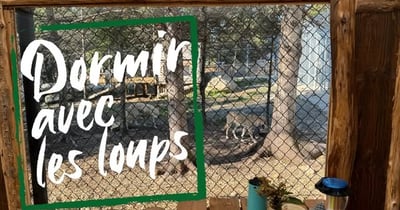 Concours Gagnez un séjour en glamping pour 1 à 4 personnes au Sanctuaire de loups LUPO!