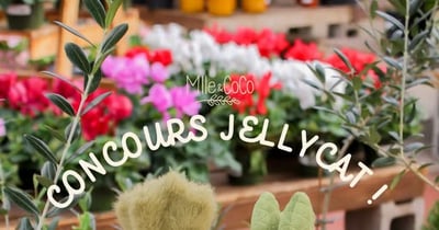 Concours Gagnez une carotte ou un asperge Jellycat!