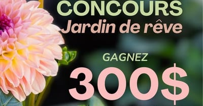 Concours Gagnez une carte-cadeau de 300$ chez les Serres Benoit!