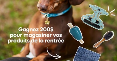 Concours Gagnez une carte-cadeau Mondou de 200$!
