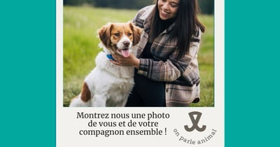 Concours Gagnez une carte-cadeau Pattes Et Griffes de 100$!